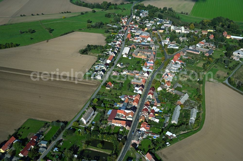 Globig from above - Agricultural land and field boundaries surround the settlement area of the village in Globig in the state Saxony-Anhalt, Germany