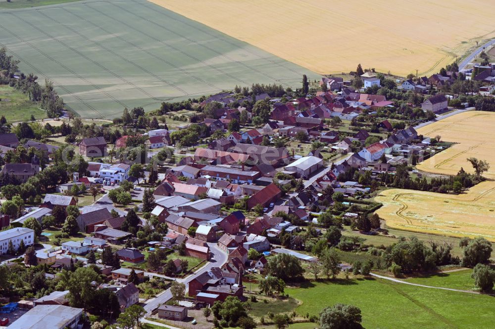 Globig from above - Agricultural land and field boundaries surround the settlement area of the village in Globig in the state Saxony-Anhalt, Germany