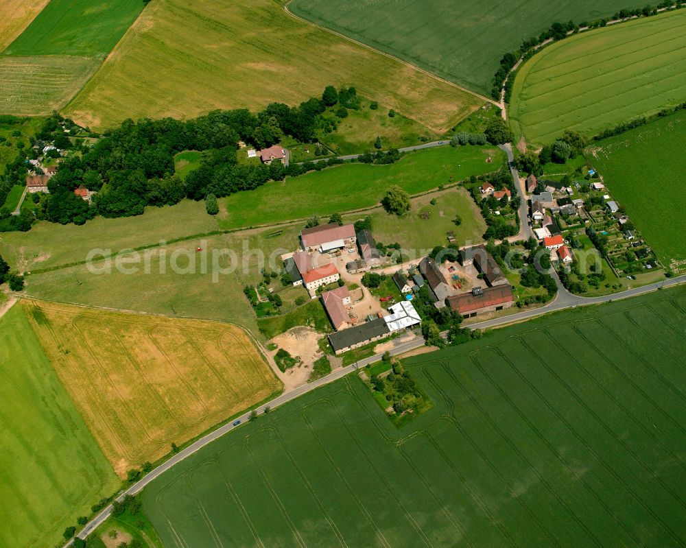 Aerial photograph Gostewitz - Agricultural land and field boundaries surround the settlement area of the village in Gostewitz in the state Saxony, Germany