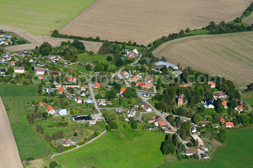 Gransebieth from above - Agricultural land and field boundaries surround the settlement area of the village in Gransebieth in the state Mecklenburg - Western Pomerania, Germany
