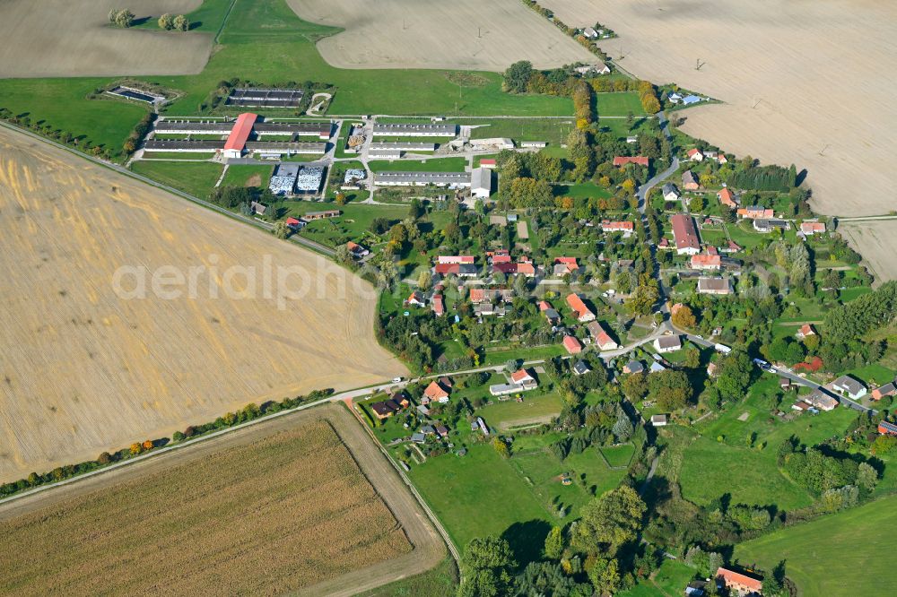 Grauenhagen from above - Agricultural land and field boundaries surround the settlement area of the village in Grauenhagen in the state Mecklenburg - Western Pomerania, Germany