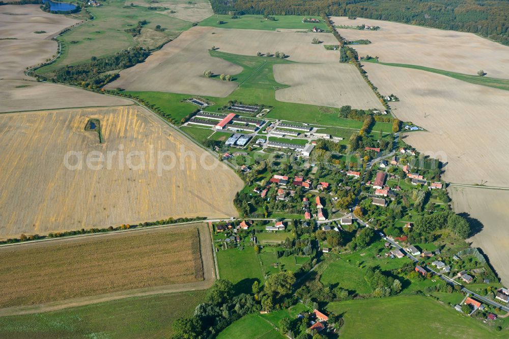 Grauenhagen from the bird's eye view: Agricultural land and field boundaries surround the settlement area of the village in Grauenhagen in the state Mecklenburg - Western Pomerania, Germany