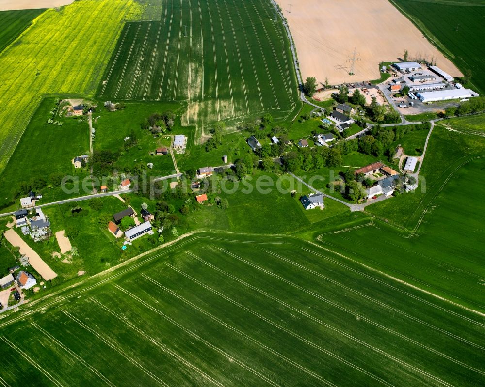 Aerial image Grünlichtenberg - Agricultural land and field boundaries surround the settlement area of the village in Grünlichtenberg in the state Saxony, Germany