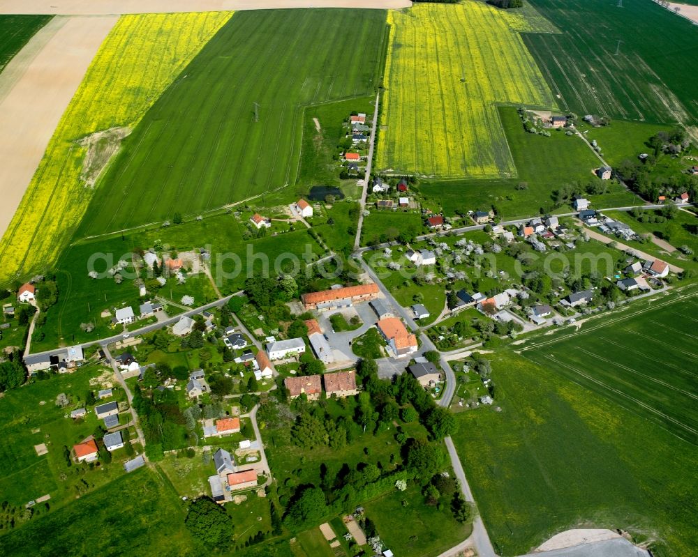 Aerial photograph Grünlichtenberg - Agricultural land and field boundaries surround the settlement area of the village in Grünlichtenberg in the state Saxony, Germany