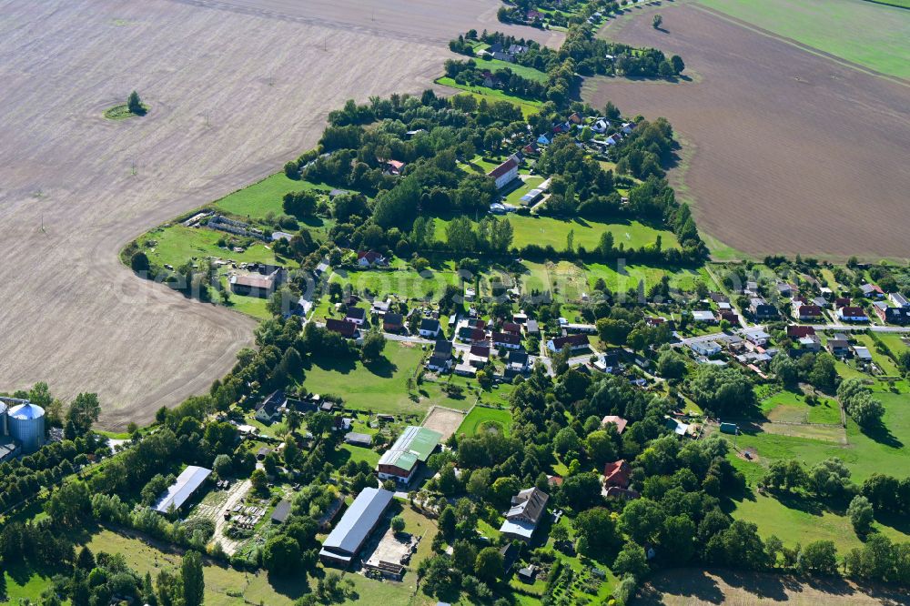 Groß Kordshagen from the bird's eye view: Agricultural land and field boundaries surround the settlement area of the village in Gross Kordshagen in the state Mecklenburg - Western Pomerania, Germany