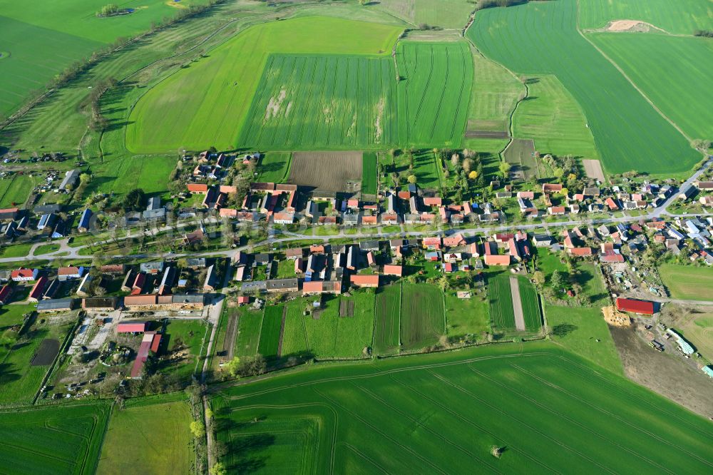 Aerial photograph Großmutz - Agricultural land and field boundaries surround the settlement area of the village on street Grossmutzer Dorfstrasse in Grossmutz Loewenberger Land in the state Brandenburg, Germany