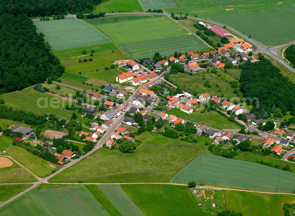 Aerial photograph Haide - Agricultural land and field boundaries surround the settlement area of the village in Haide in the state Rhineland-Palatinate, Germany