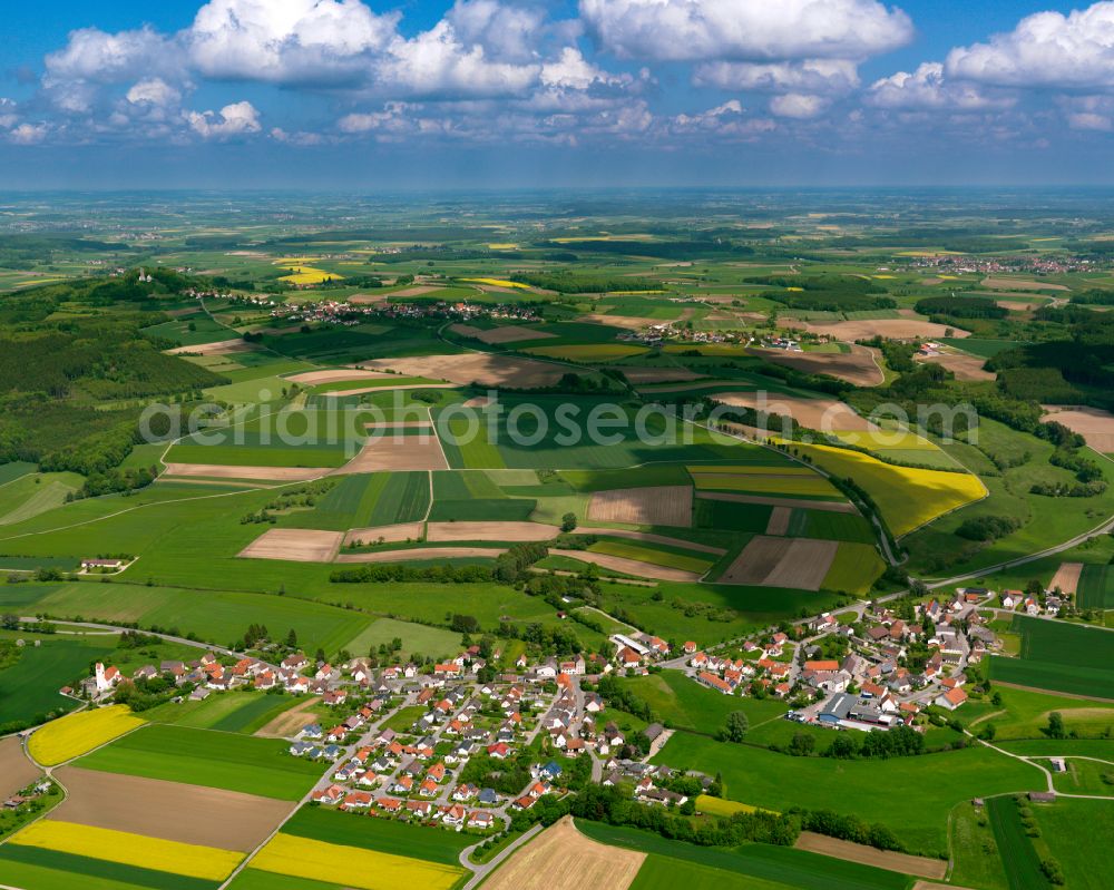 Aerial image Hailtingen - Agricultural land and field boundaries surround the settlement area of the village in Hailtingen in the state Baden-Wuerttemberg, Germany
