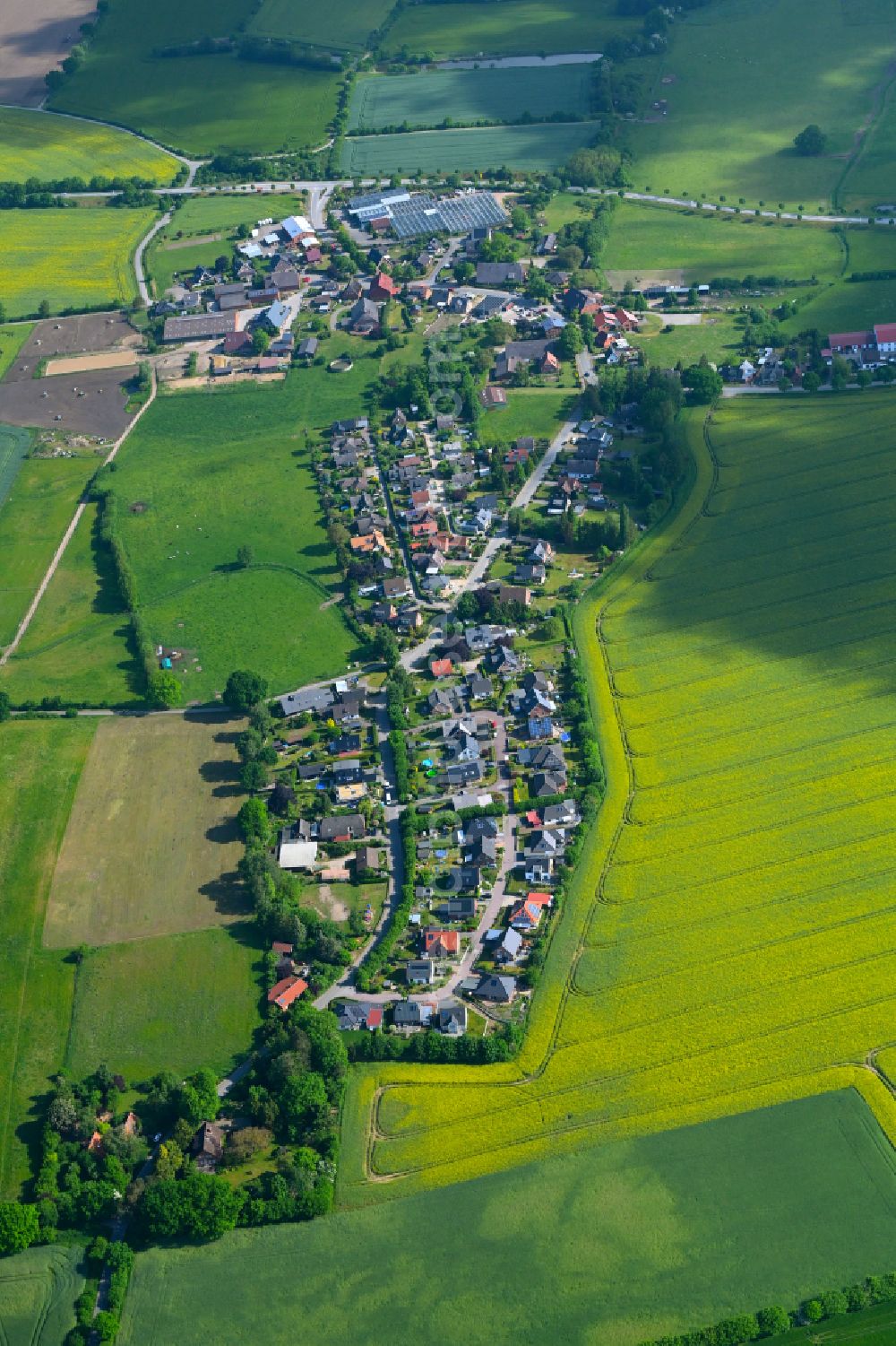 Harmsdorf from the bird's eye view: Agricultural land and field boundaries surround the settlement area of the village in Harmsdorf in the state Schleswig-Holstein, Germany