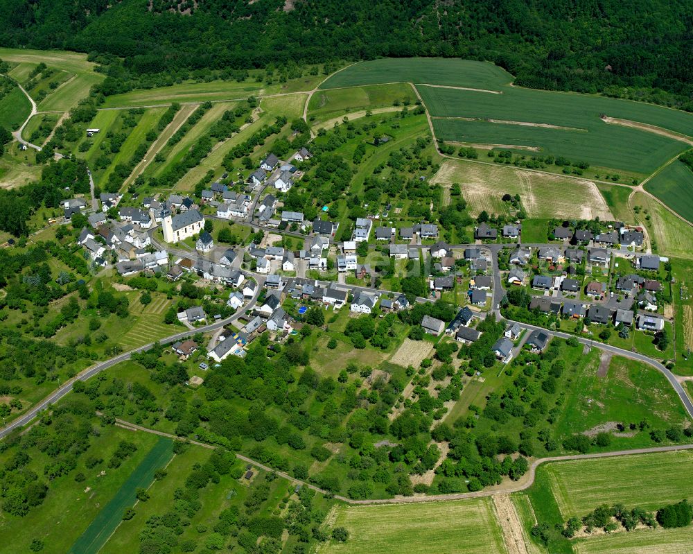 Herschwiesen from the bird's eye view: Agricultural land and field boundaries surround the settlement area of the village in Herschwiesen in the state Rhineland-Palatinate, Germany