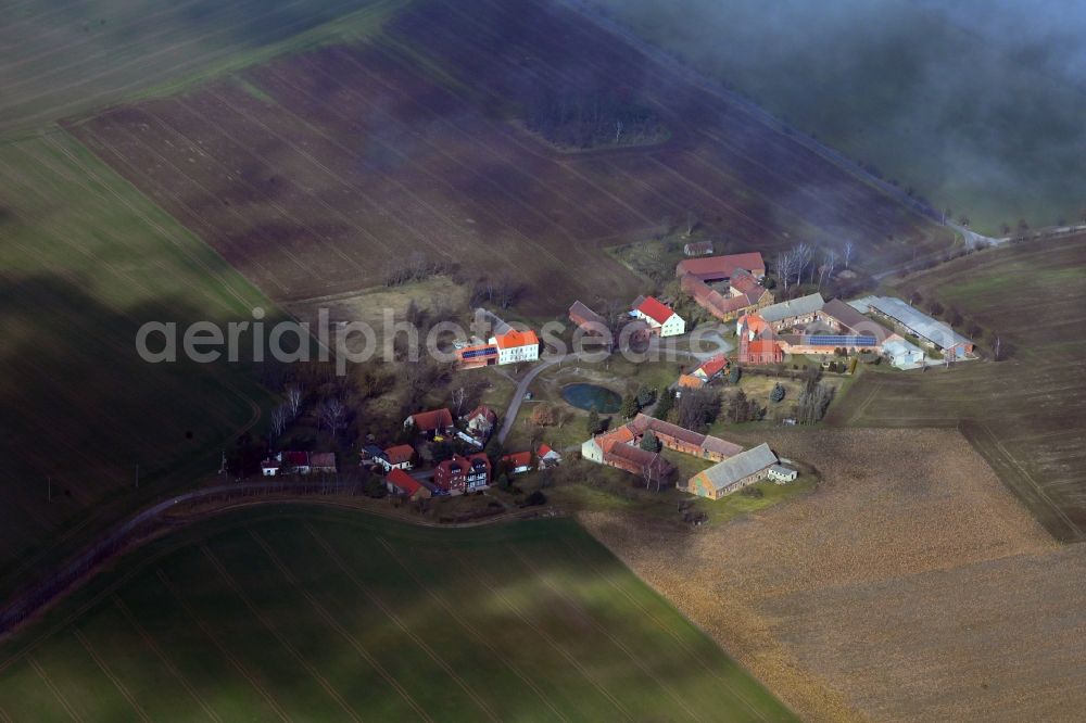 Höfgen from above - Agricultural land and field boundaries surround the settlement area of the village in Hoefgen in the state Brandenburg, Germany