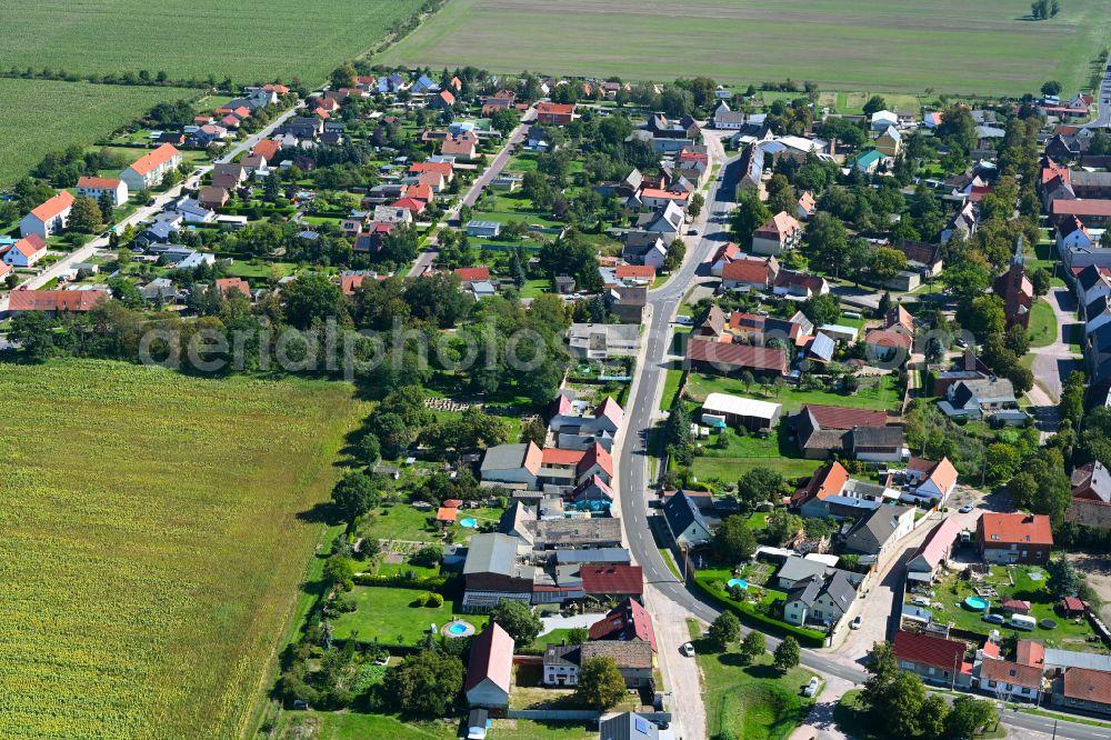 Hinsdorf from above - Agricultural land and field boundaries surround the settlement area of the village in Hinsdorf in the state Saxony-Anhalt, Germany