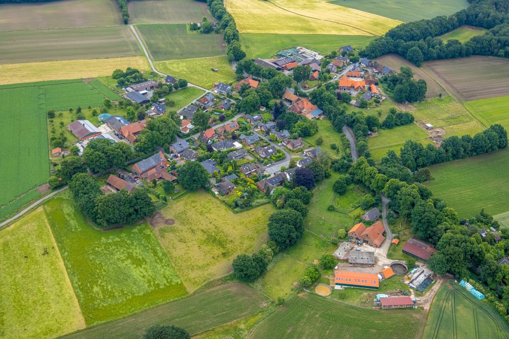 Holtwick from above - Agricultural land and field boundaries surround the settlement area of the village in Holtwick in the state North Rhine-Westphalia, Germany