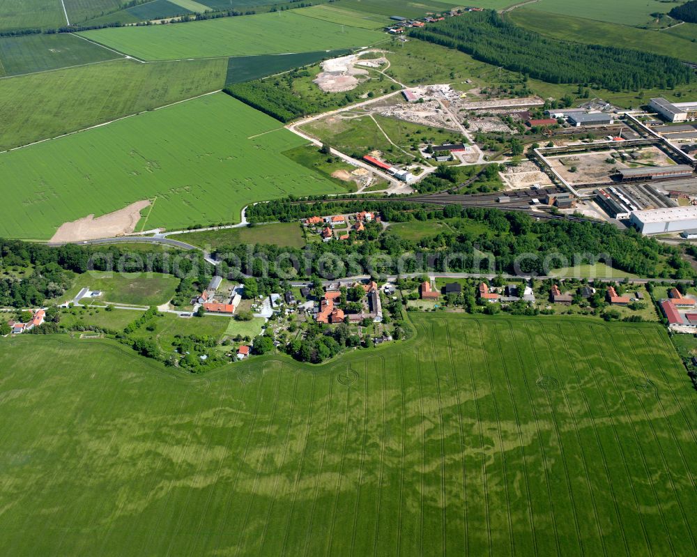 Aerial image Ilsenburg (Harz) - Agricultural land and field boundaries surround the settlement area of the village in Ilsenburg (Harz) in the Harz in the state Saxony-Anhalt, Germany