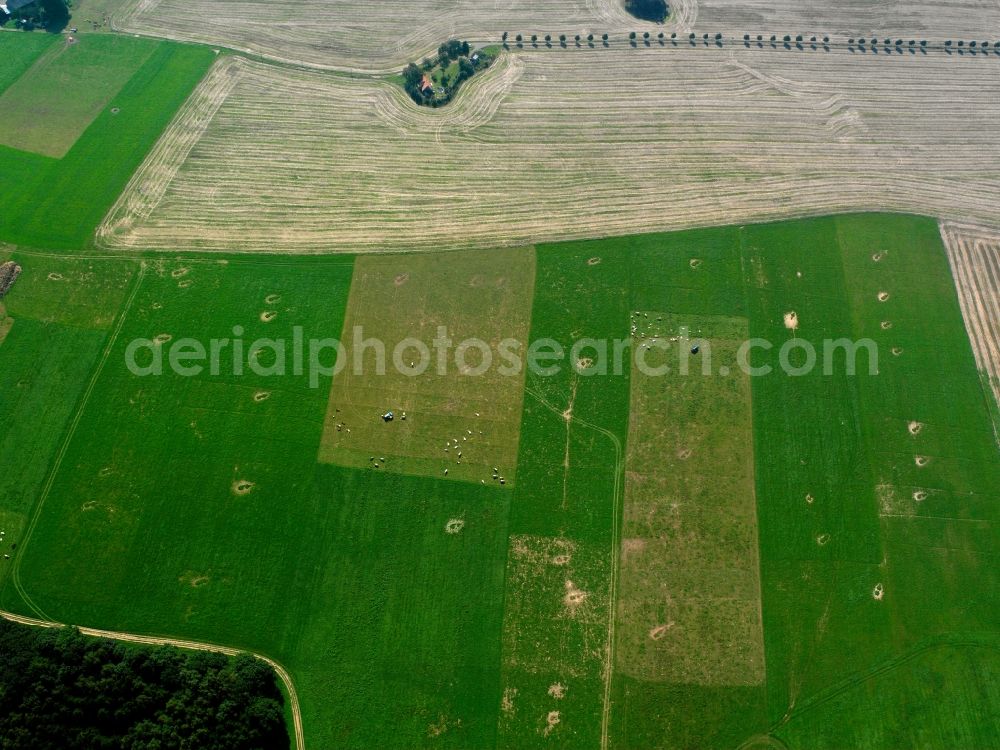 Aerial image Kirchbach - Agricultural land and field boundaries surround the settlement area of the village in Kirchbach in the state Saxony, Germany