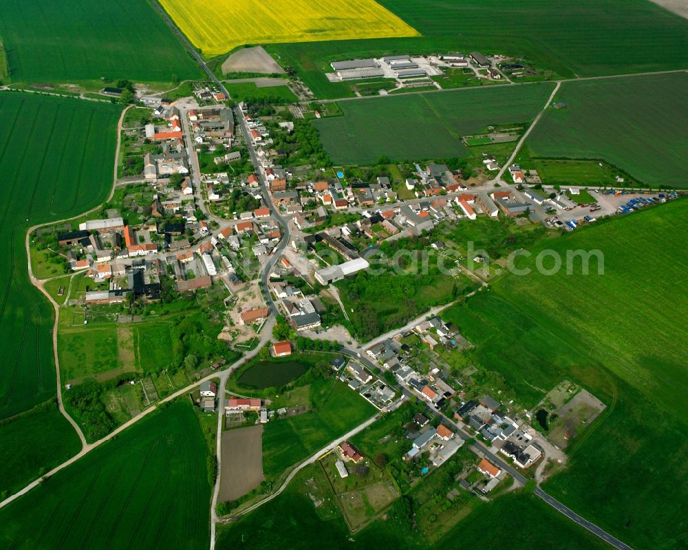 Ladeburg from above - Agricultural land and field boundaries surround the settlement area of the village in Ladeburg in the state Saxony-Anhalt, Germany