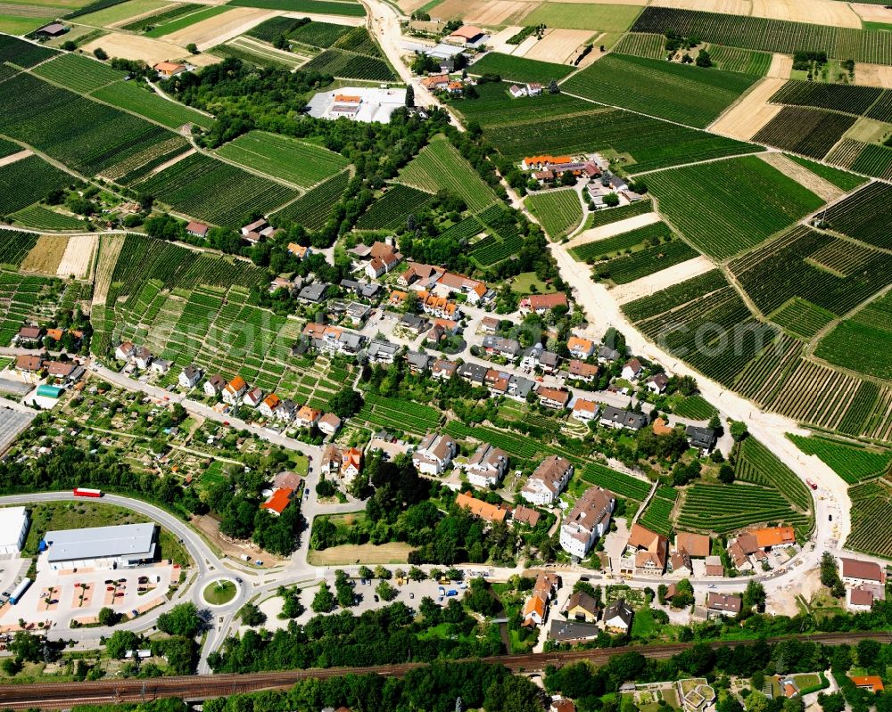 Lauffen am Neckar from the bird's eye view: Agricultural land and field boundaries surround the settlement area of the village in Lauffen am Neckar in the state Baden-Wuerttemberg, Germany