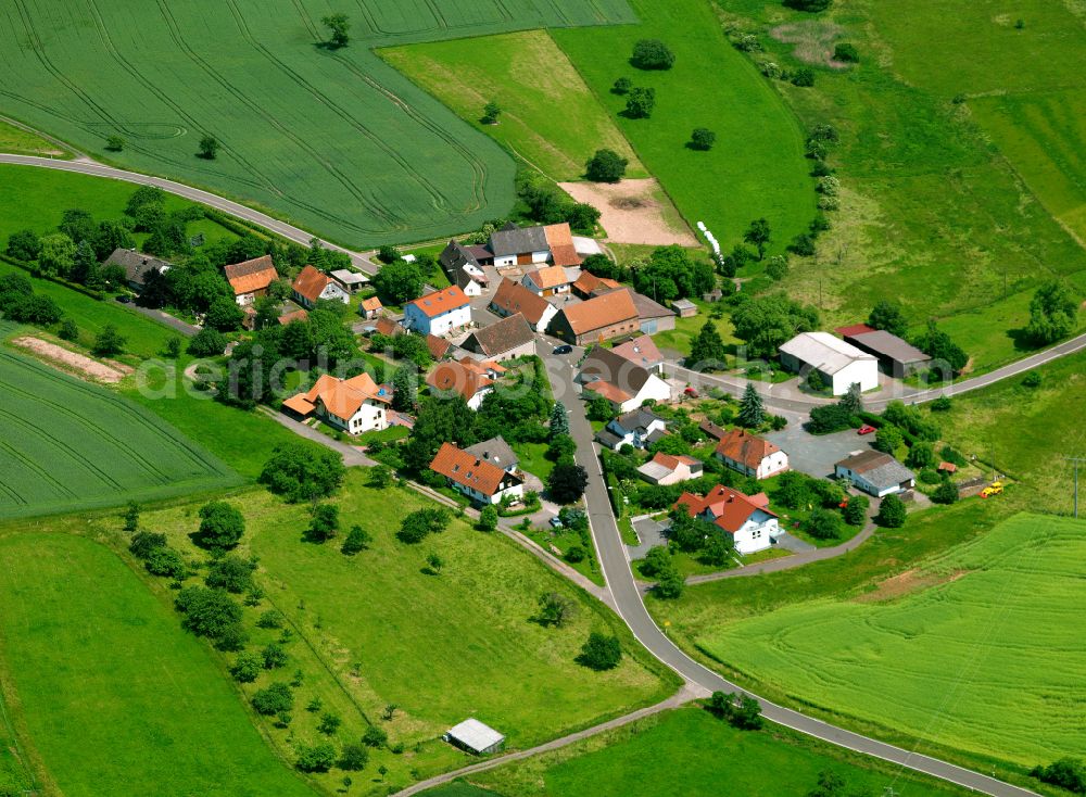 Leithöfe from above - Agricultural land and field boundaries surround the settlement area of the village in Leithöfe in the state Rhineland-Palatinate, Germany