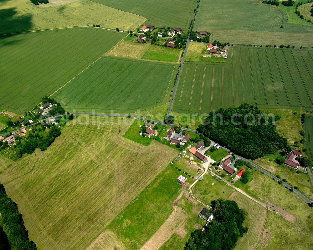 Aerial image Lenz - Agricultural land and field boundaries surround the settlement area of the village in Lenz in the state Saxony, Germany