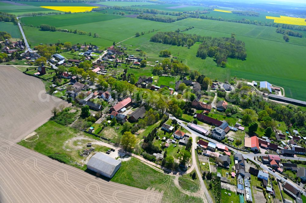 Lohne from the bird's eye view: Agricultural land and field boundaries surround the settlement area of the village in Lohne in the state Saxony-Anhalt, Germany