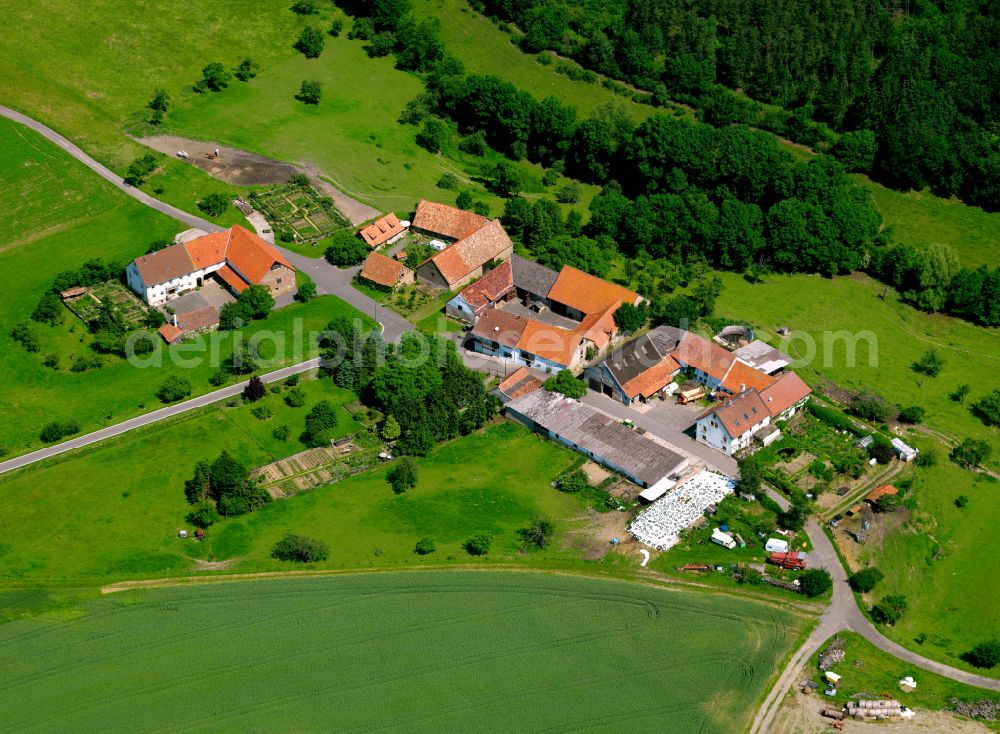 Aerial image Morsbacherhof - Agricultural land and field boundaries surround the settlement area of the village in Morsbacherhof in the state Rhineland-Palatinate, Germany