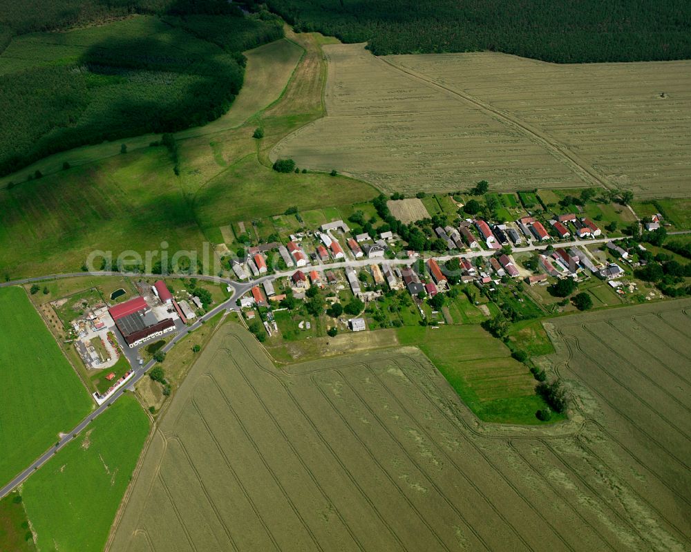 Naundorf from the bird's eye view: Agricultural land and field boundaries surround the settlement area of the village in Naundorf in the state Saxony, Germany