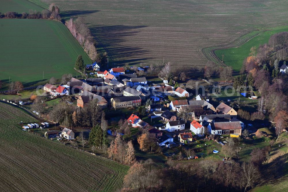 Aerial photograph Negis - Agricultural land and field boundaries surround the settlement area of the village on street Negis in Negis in the state Thuringia, Germany