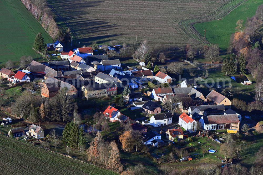Negis from above - Agricultural land and field boundaries surround the settlement area of the village on street Negis in Negis in the state Thuringia, Germany