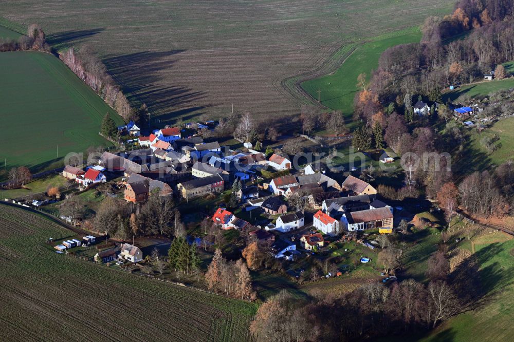 Negis from the bird's eye view: Agricultural land and field boundaries surround the settlement area of the village on street Negis in Negis in the state Thuringia, Germany