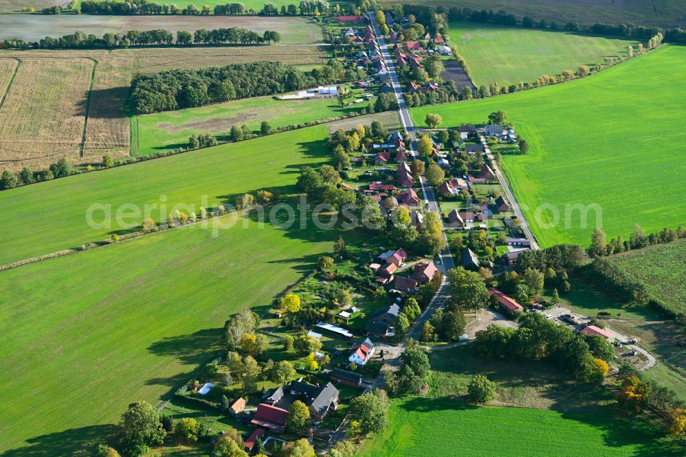 Aerial photograph Neu Lüblow - Agricultural land and field boundaries surround the settlement area of the village in Neu Lueblow in the state Mecklenburg - Western Pomerania, Germany