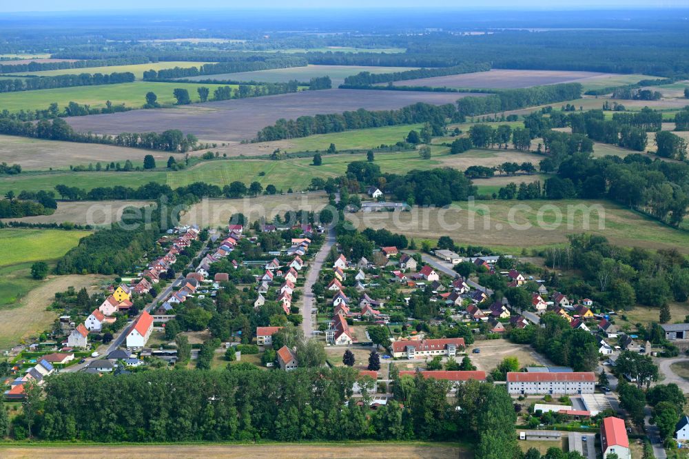 Aerial photograph Neuholland - Agricultural land and field boundaries surround the settlement area of the village in Neuholland in the state Brandenburg, Germany