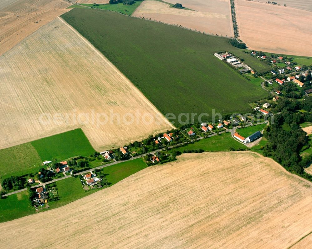 Neukirchen from above - Agricultural land and field boundaries surround the settlement area of the village in Neukirchen in the state Saxony, Germany