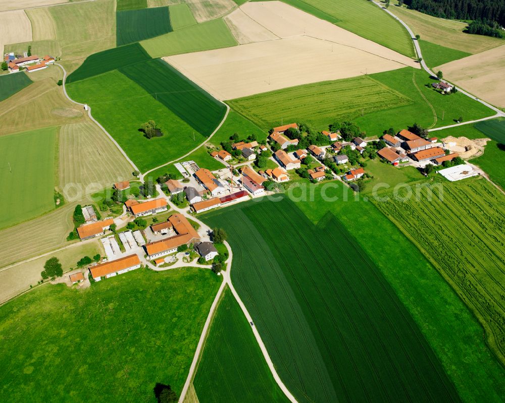 Niederbuch from above - Agricultural land and field boundaries surround the settlement area of the village in Niederbuch in the state Bavaria, Germany