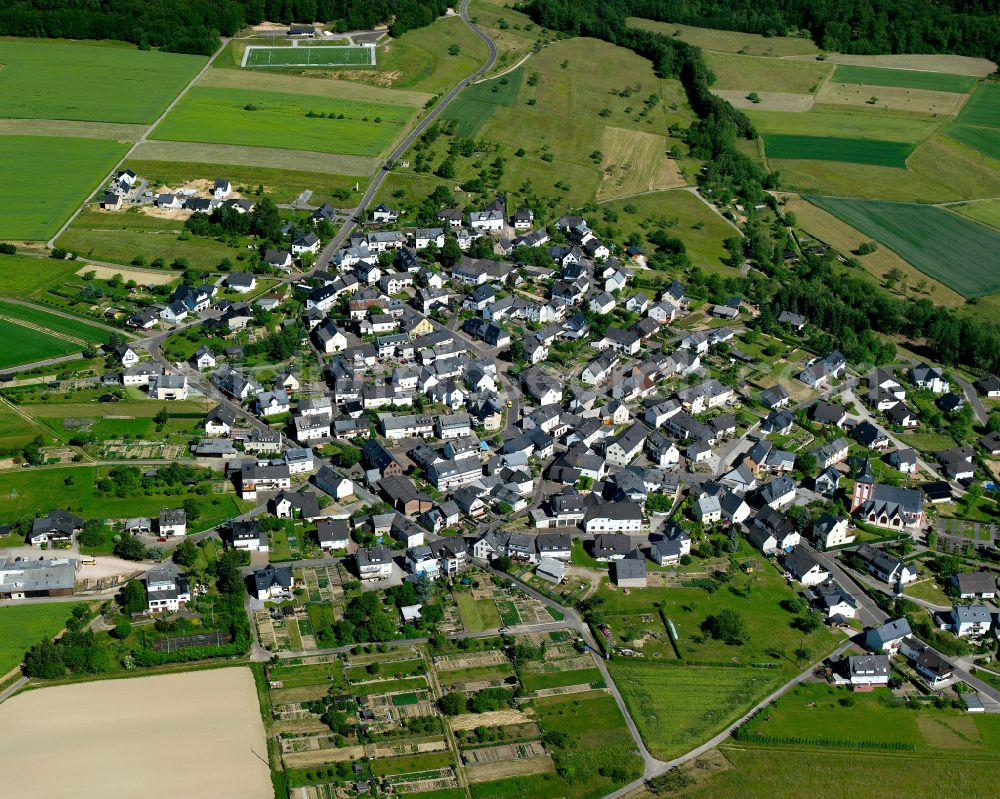 Niederburg from the bird's eye view: Agricultural land and field boundaries surround the settlement area of the village in Niederburg in the state Rhineland-Palatinate, Germany