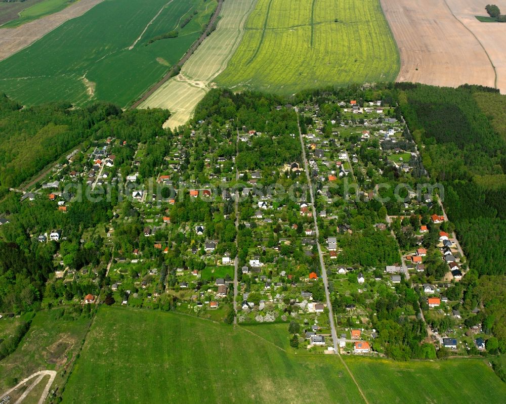 Oberlichtenau from above - Agricultural land and field boundaries surround the settlement area of the village in Oberlichtenau in the state Saxony, Germany