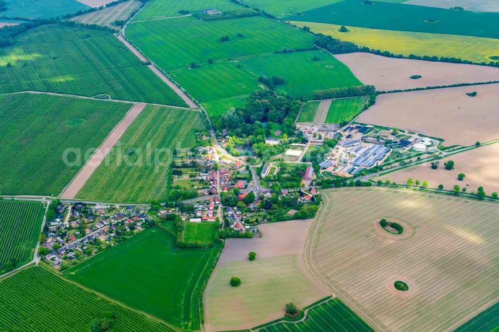 Aerial image Pritzier - Agricultural land and field boundaries surround the settlement area of the village in Pritzier in the state Mecklenburg - Western Pomerania, Germany