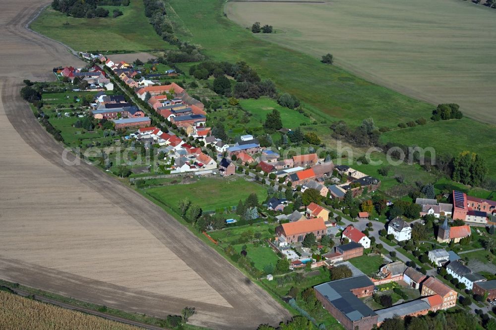 Aerial photograph Rackith - Agricultural land and field boundaries surround the settlement area of the village in Rackith in the state Saxony-Anhalt, Germany