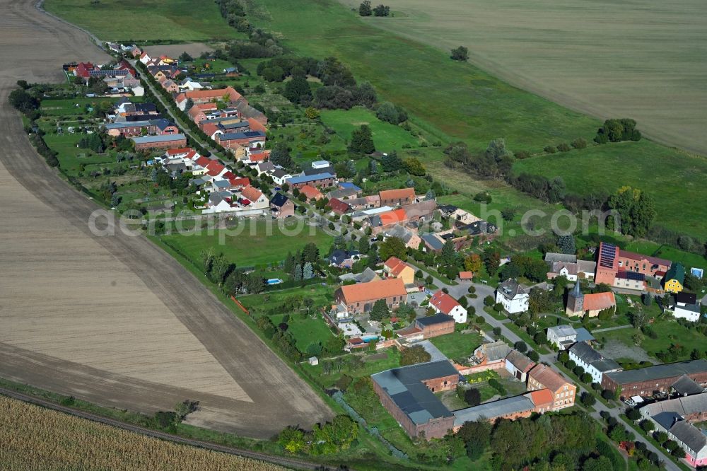 Rackith from above - Agricultural land and field boundaries surround the settlement area of the village in Rackith in the state Saxony-Anhalt, Germany