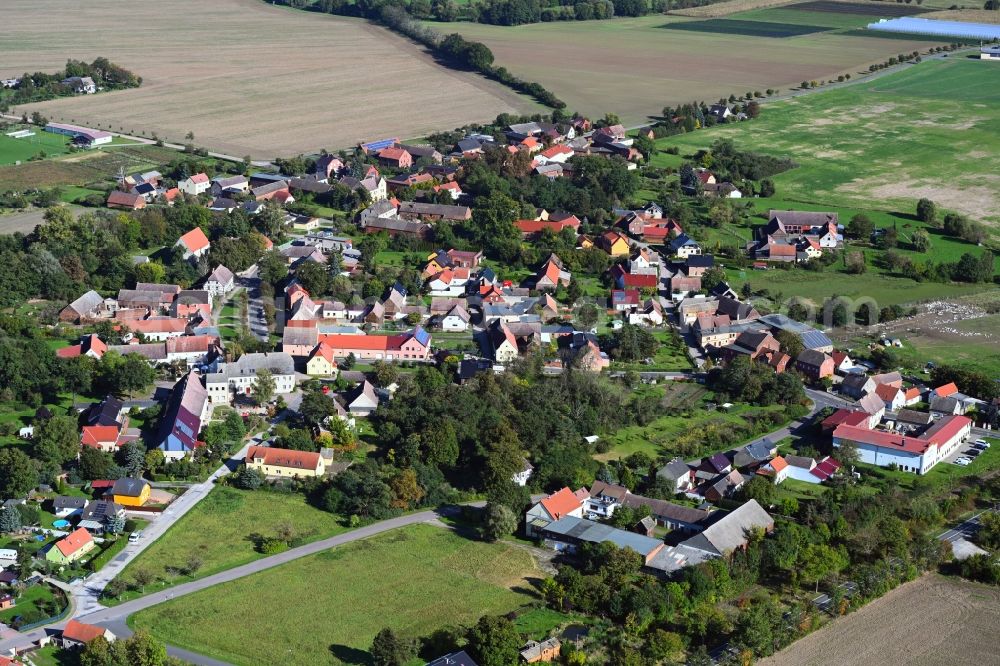 Rackith from the bird's eye view: Agricultural land and field boundaries surround the settlement area of the village in Rackith in the state Saxony-Anhalt, Germany