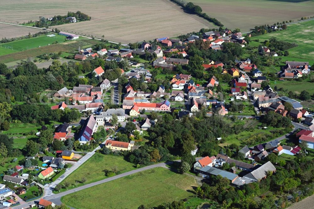 Aerial image Rackith - Agricultural land and field boundaries surround the settlement area of the village in Rackith in the state Saxony-Anhalt, Germany