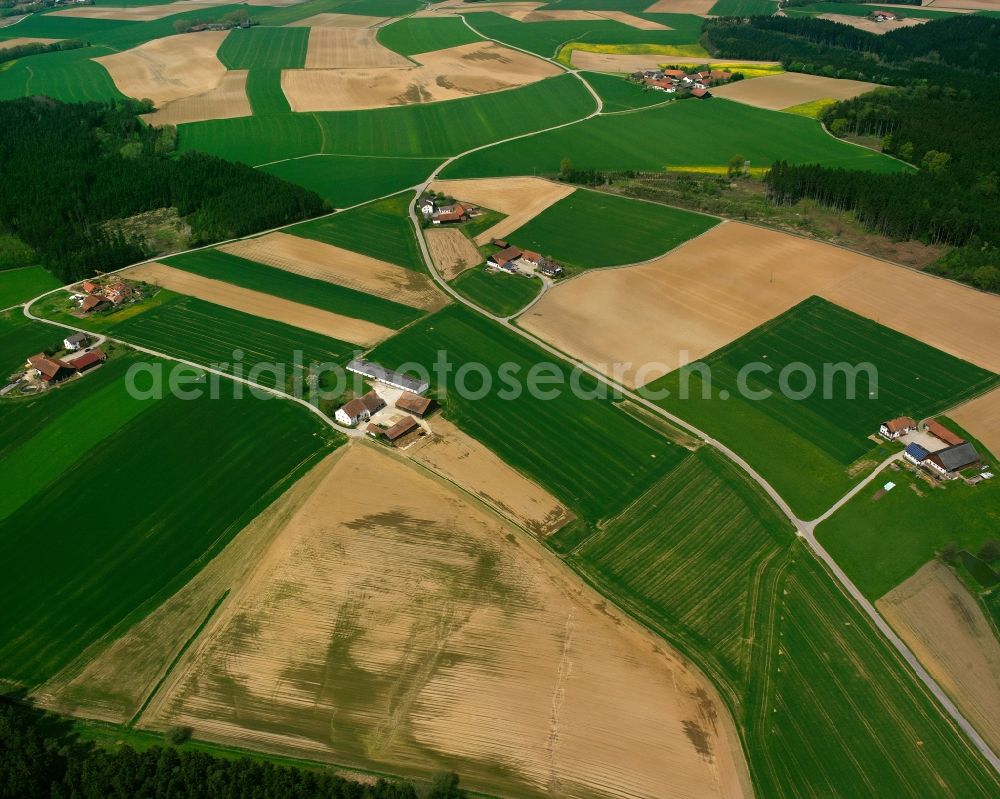 Aerial image Reithof - Agricultural land and field boundaries surround the settlement area of the village in Reithof in the state Bavaria, Germany