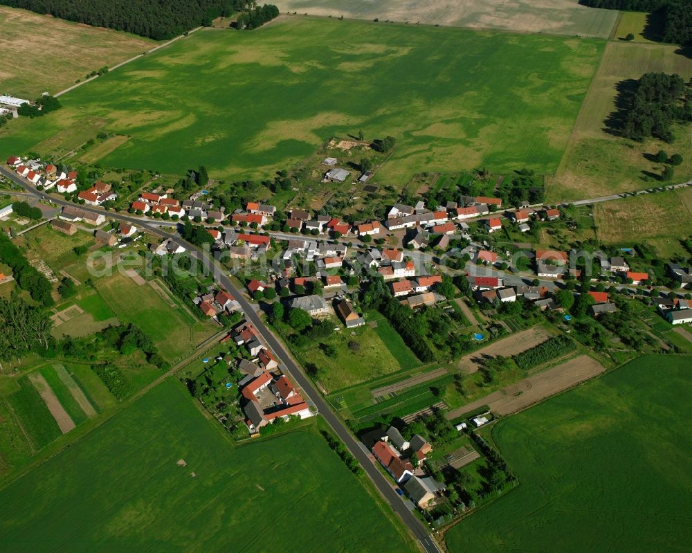 Aerial photograph Reuden/Anhalt - Agricultural land and field boundaries surround the settlement area of the village in Reuden/Anhalt in the state Saxony-Anhalt, Germany