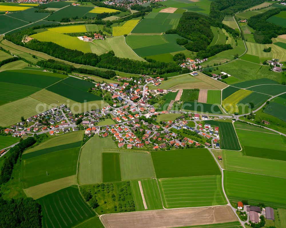 Reute from above - Agricultural land and field boundaries surround the settlement area of the village in Reute in the state Baden-Wuerttemberg, Germany