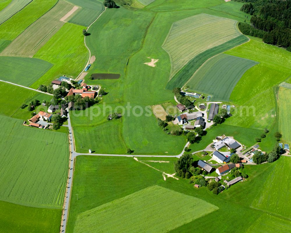 Rieglersreuth from above - Agricultural land and field boundaries surround the settlement area of the village in Rieglersreuth in the state Bavaria, Germany