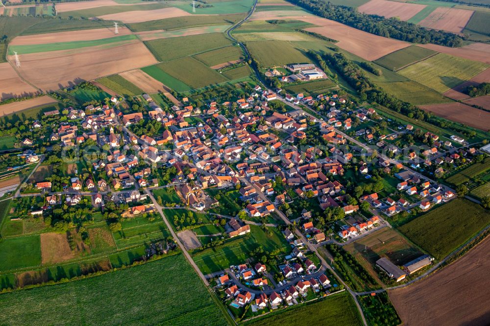 Saessolsheim from the bird's eye view: Agricultural land and field boundaries surround the settlement area of the village in Saessolsheim in Grand Est, France