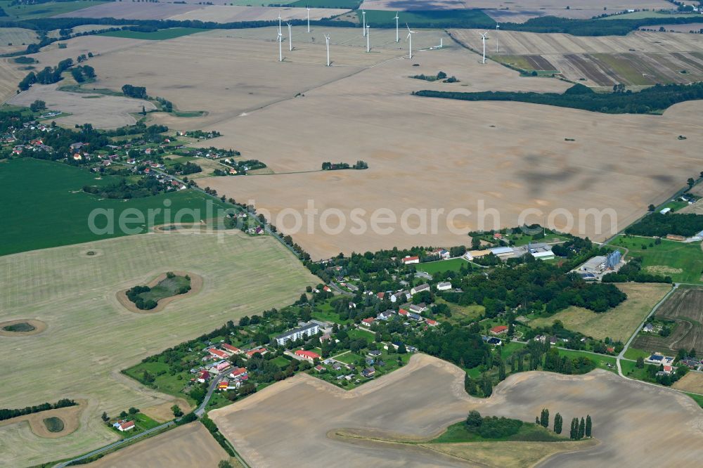 Sarow from above - Agricultural land and field boundaries surround the settlement area of the village in Sarow in the state Mecklenburg - Western Pomerania, Germany