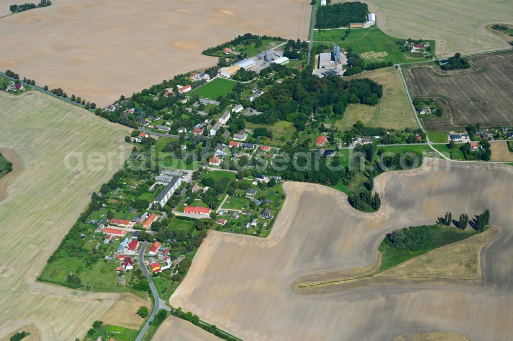 Sarow from the bird's eye view: Agricultural land and field boundaries surround the settlement area of the village in Sarow in the state Mecklenburg - Western Pomerania, Germany