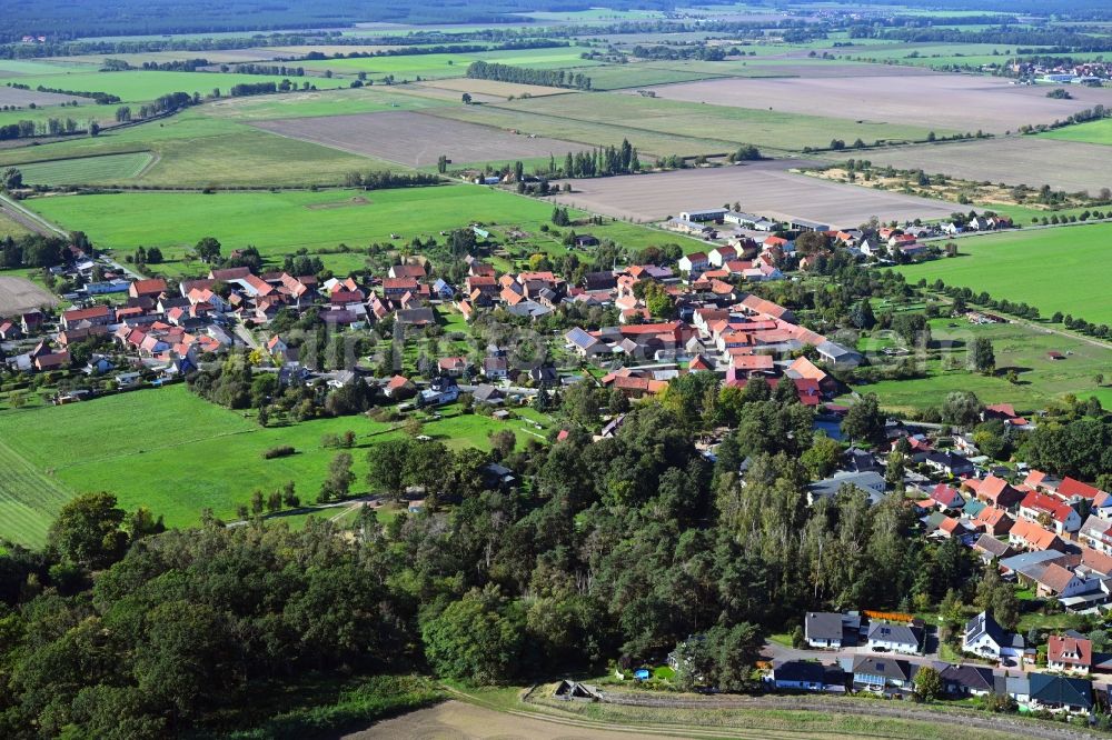 Satuelle from the bird's eye view: Agricultural land and field boundaries surround the settlement area of the village in Satuelle in the state Saxony-Anhalt, Germany