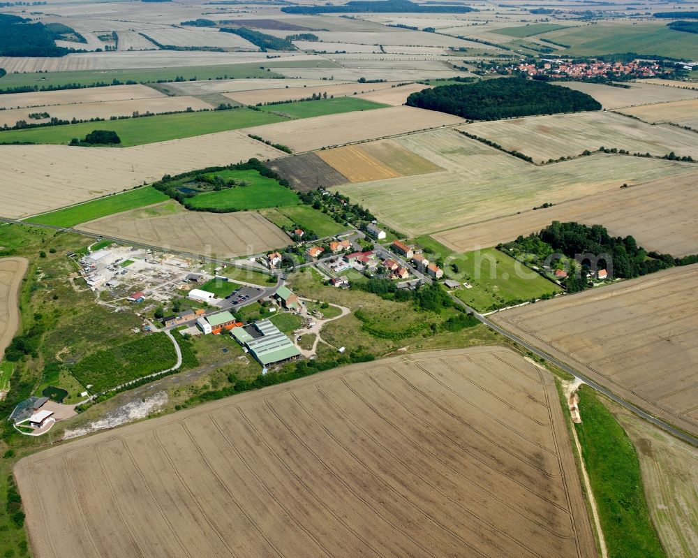 Aerial photograph Schacht Pöthen - Agricultural land and field boundaries surround the settlement area of the village in Schacht Pöthen in the state Thuringia, Germany