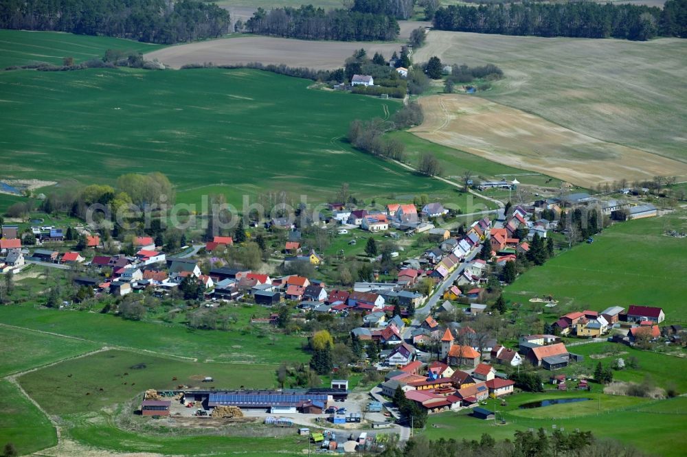 Aerial photograph Senftenhütte - Agricultural land and field boundaries surround the settlement area of the village in Senftenhuette at Schorfheide in the state Brandenburg, Germany